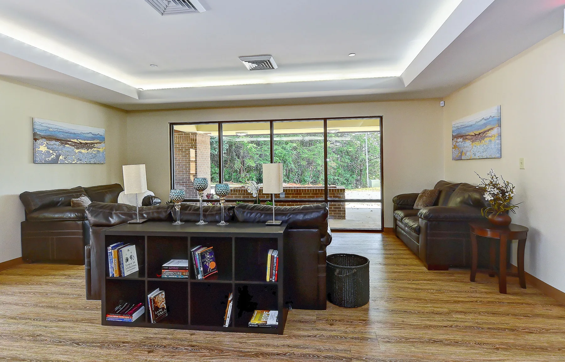 Lounge with leather sofas and bookshelf at Freedom Detox