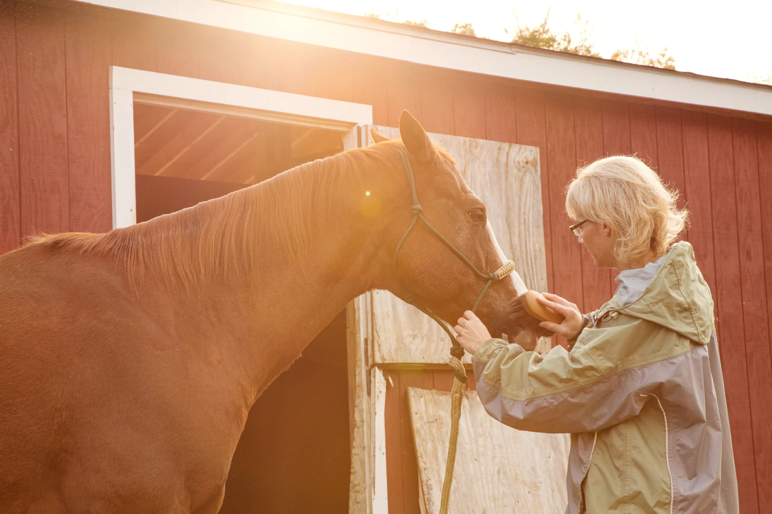 A woman takes her time working with her horse as her personal form of de-stressing, equine therapy in north carolina